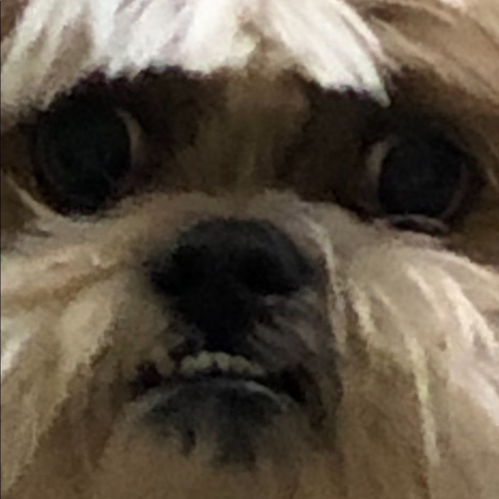 Meet your Posher, Marisol